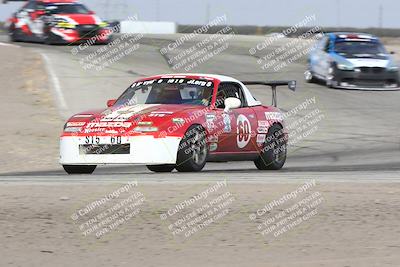 media/Oct-26-2024-Nasa (Sat) [[d836a980ea]]/Race Group B/Grapevine/